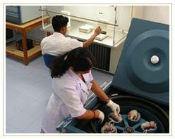 Slider image (7) Al Shifa Hospital